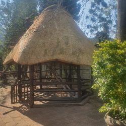 Thatching Lapa