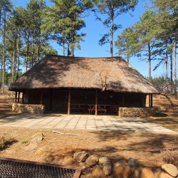 Thatching Lapa