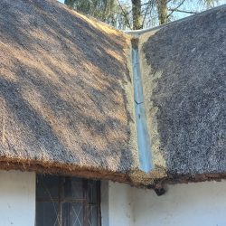 Thatching house roof