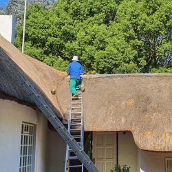 Thatching house roof