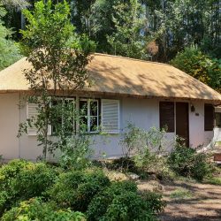 Thatching house roof