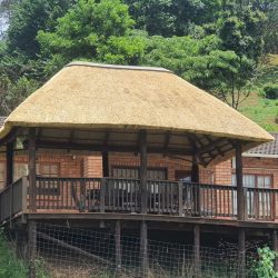 Thatch Deck Roof