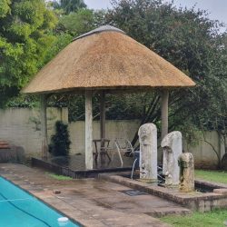 Thatch swimming pool roof