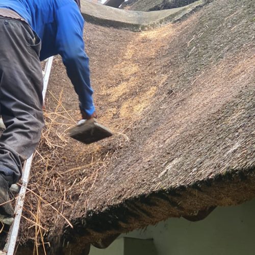Thatching house roof