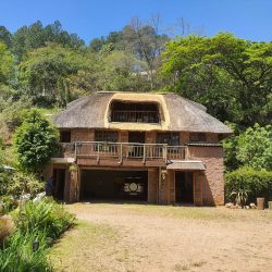 Thatching house roof