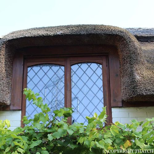 Dromer in thatched roof
